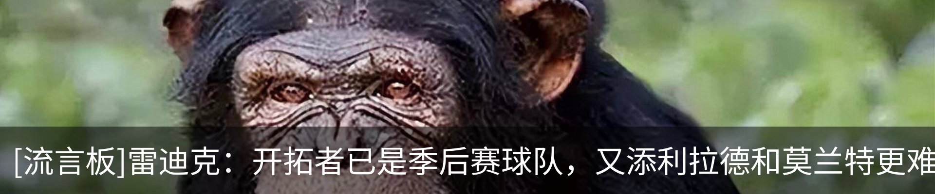行业资讯